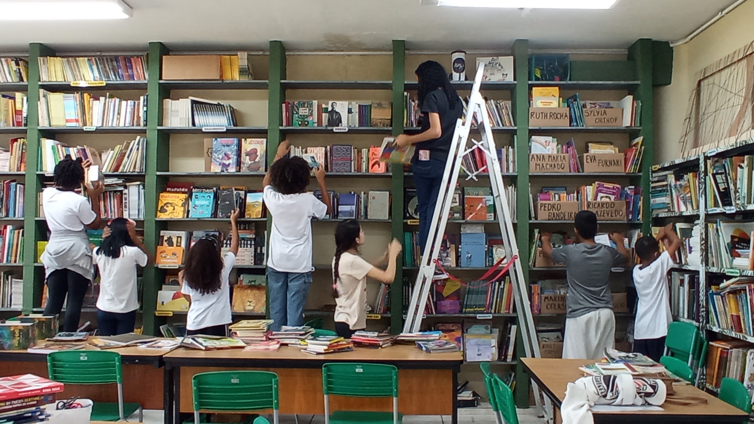 A organização dos livros que faz parte da vivência na Sala de Leitura