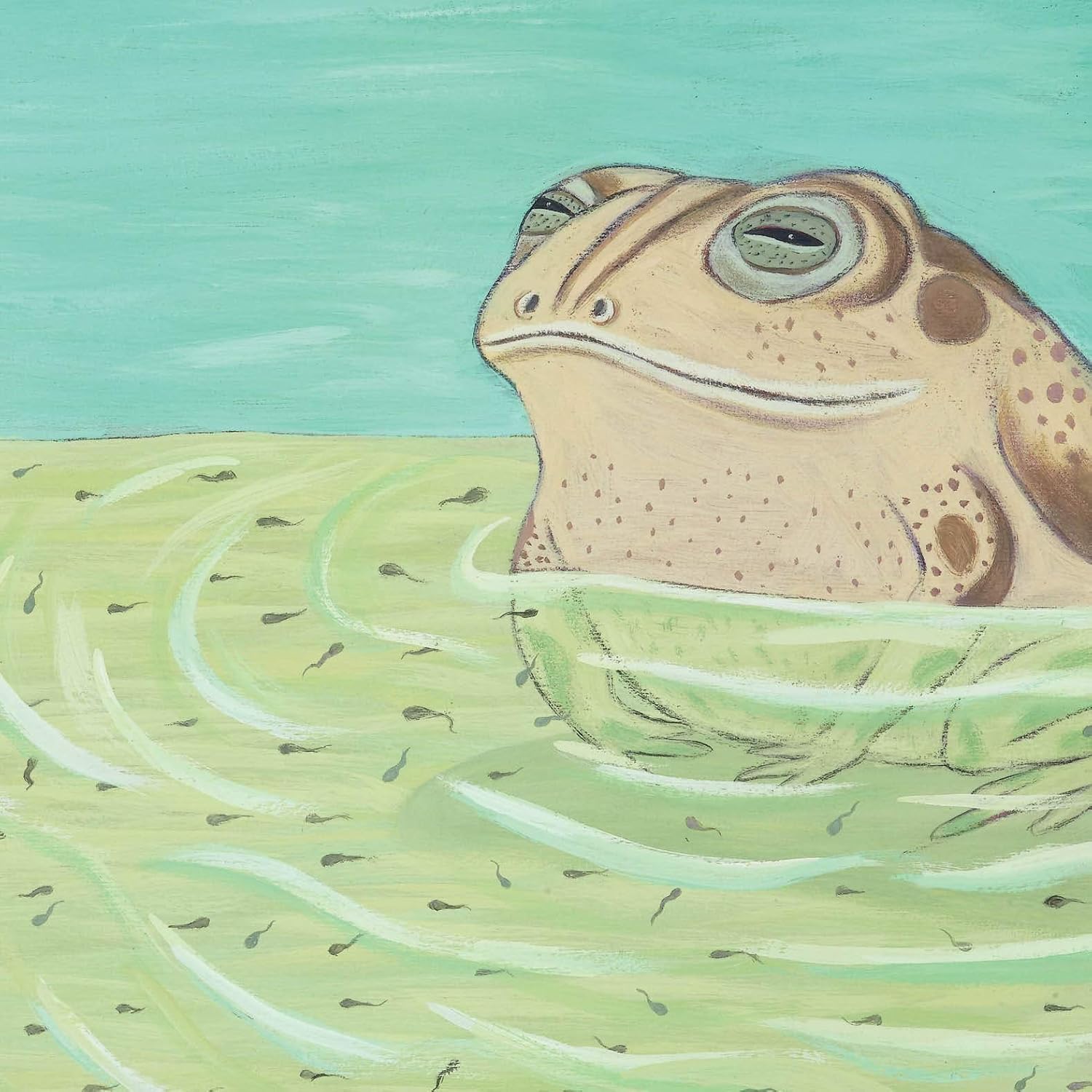 Bebês Brasileirinhos