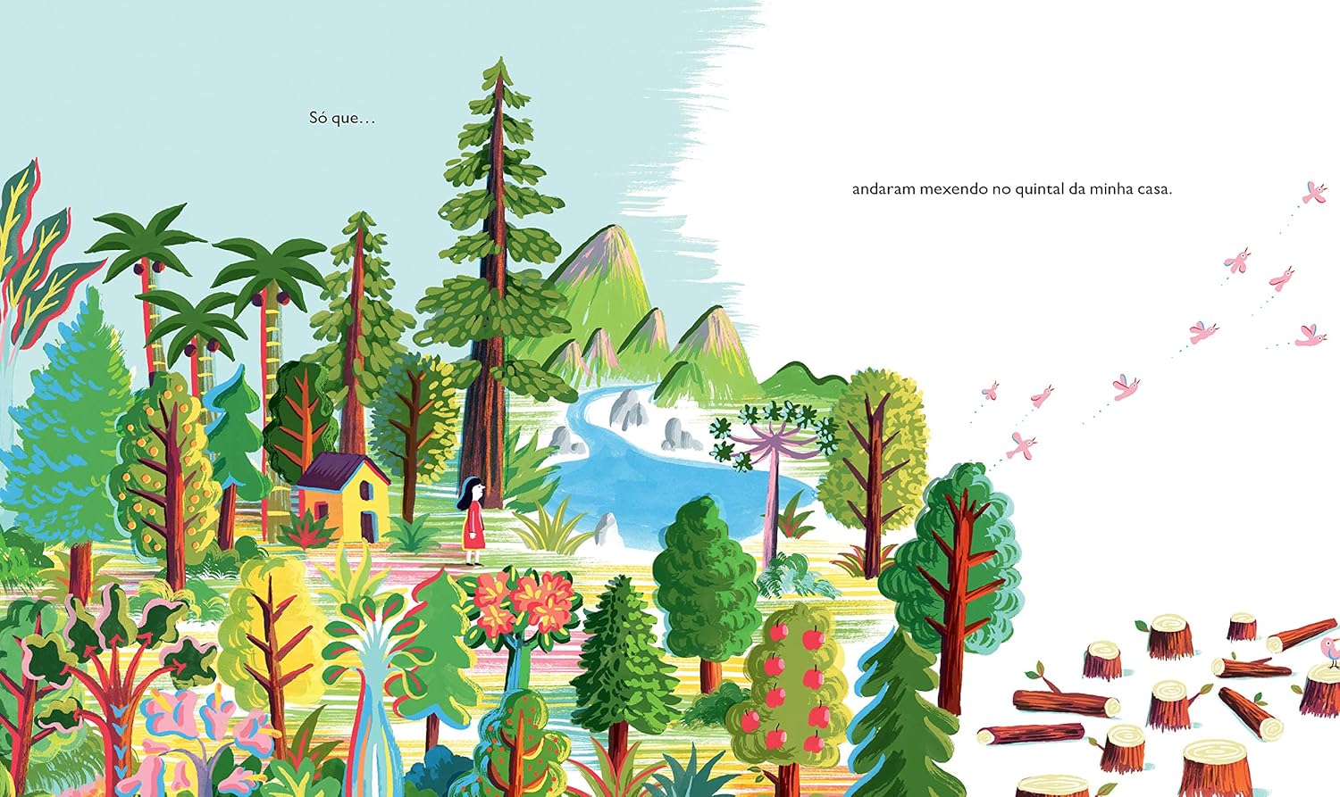 O quintal da minha casa