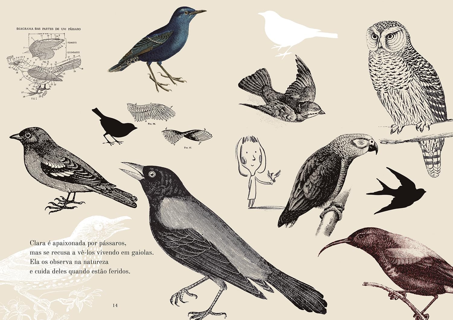 O dia em que virei um pássaro