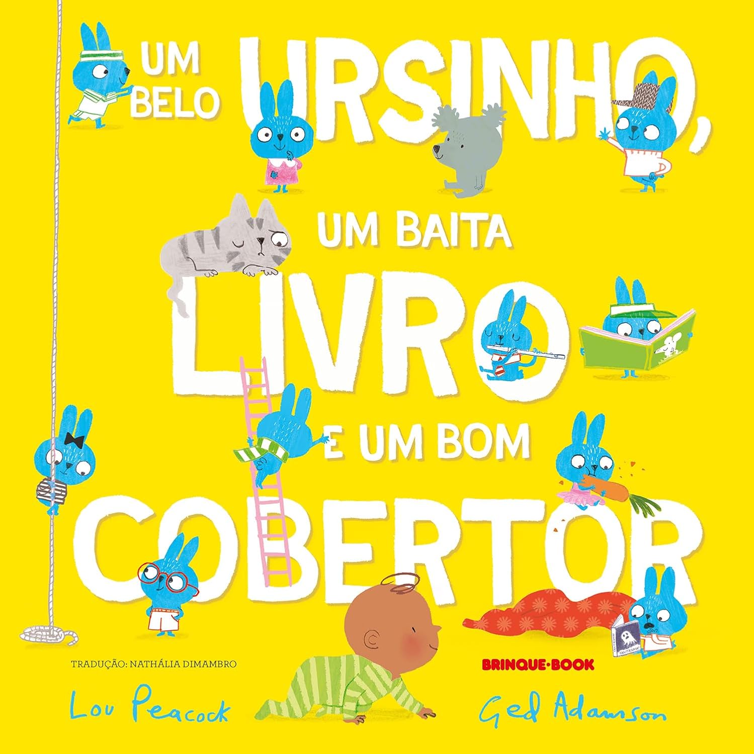 Um belo ursinho