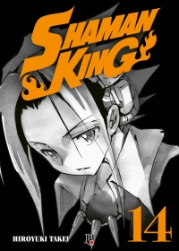 Shaman King BIG Vol. 14